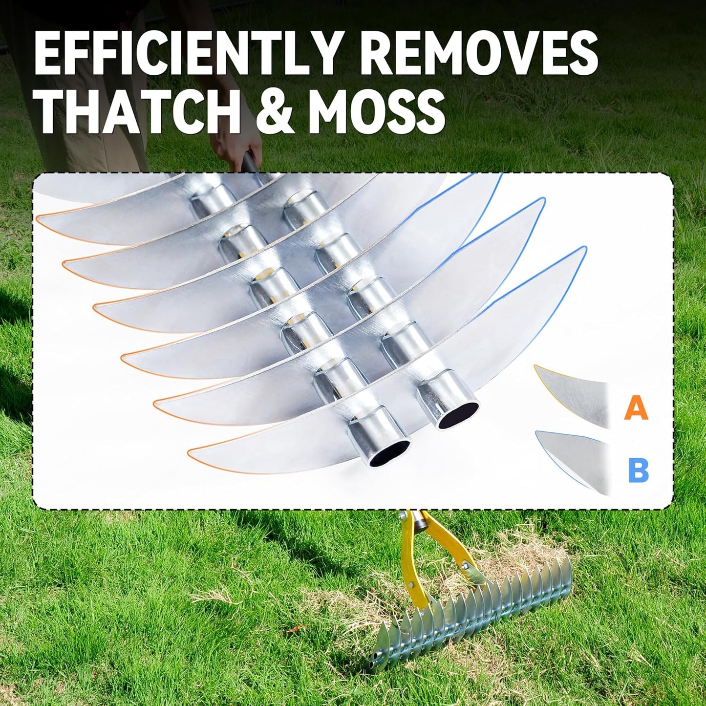 Thatch Rake for Lawn with 74inch Handle, 15 inch Dethatcher Rake for Grass to Cleaning Dead Grass, Efficient Steel Metal Rake for Dethatching, Heavy Duty Thatching Rakes for Garden, Yard