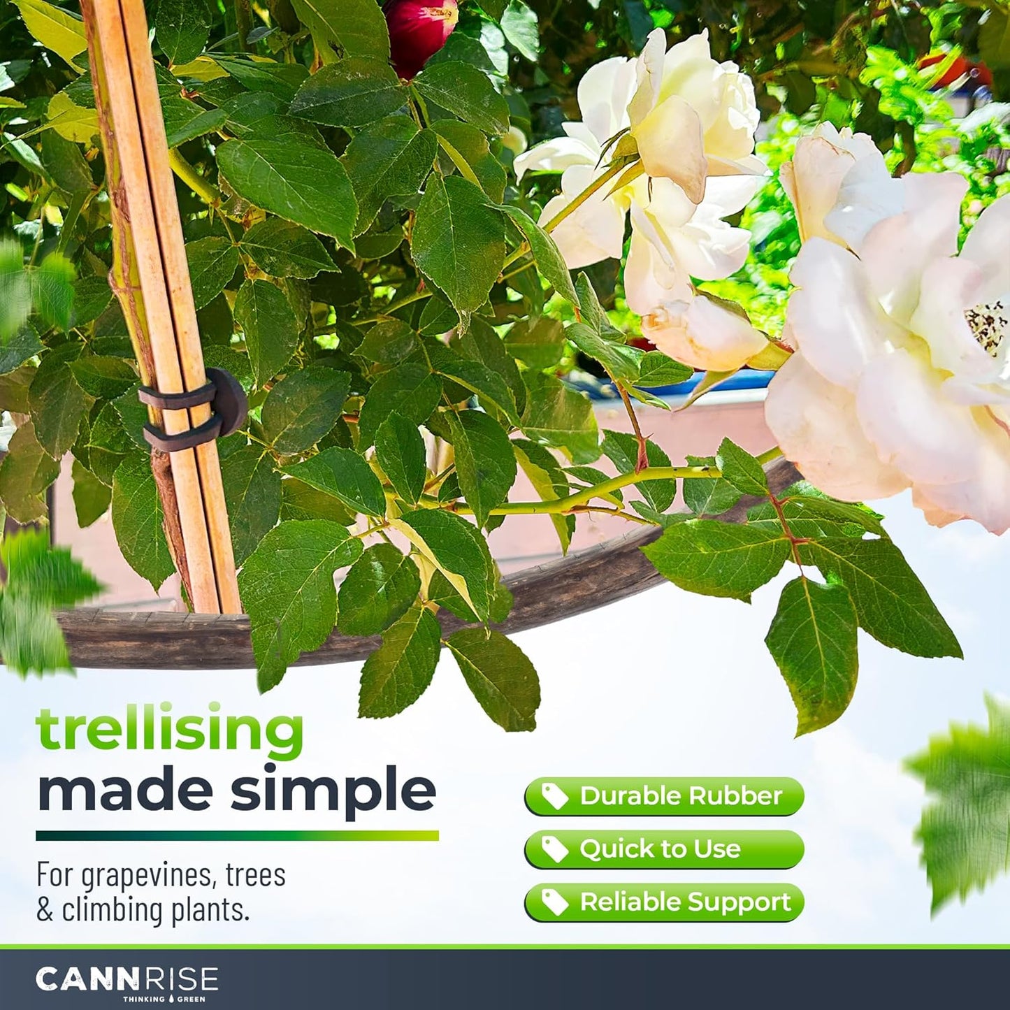 Anchor Rubber Bands for Trellising – 33 Pack of 12 cm/4.72 inches Rubber Bands for Outdoor Plant Support, Climbing Plants, Grape Vines, Trees – UV-Protected, Elastic, Multi-Purpose Use