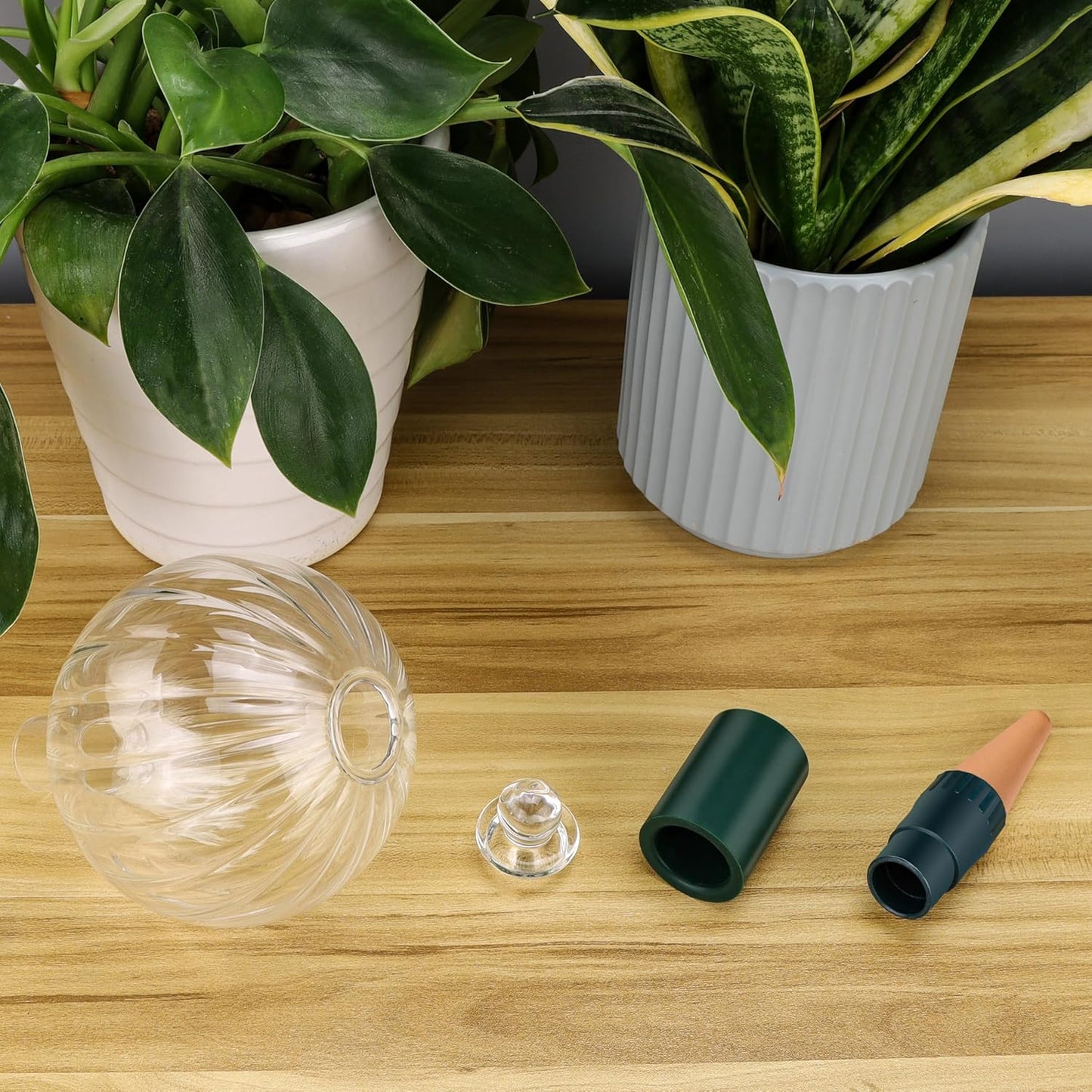 23 oz Extra Large Plant Watering Globes Top Fill, Clear Glass Water Bulbs with Terracotta Spikes Adapter, Slow Release Vacation Plant Watering Devices, Automatic Drip Irrigation, 2 Pack