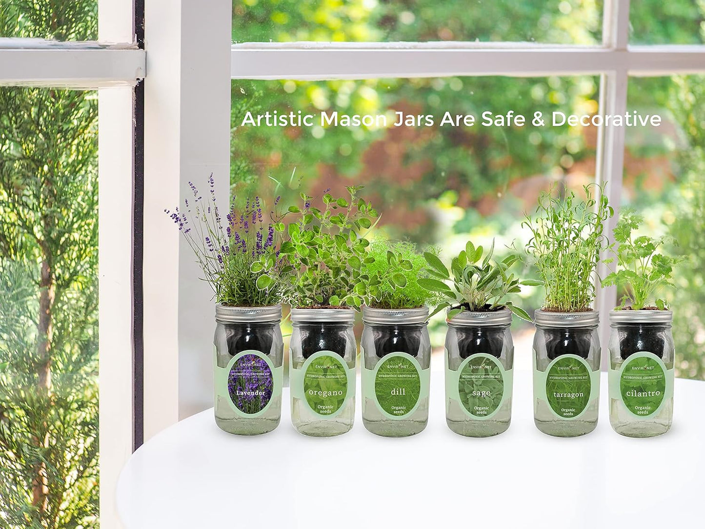 Hydroponic Herb Growing Kit, Self-Watering Mason Jar Herb Garden Starter Kit Indoor, Window Herbs Garden, Grow Your Own Herbs from Organic Seeds (Thyme)