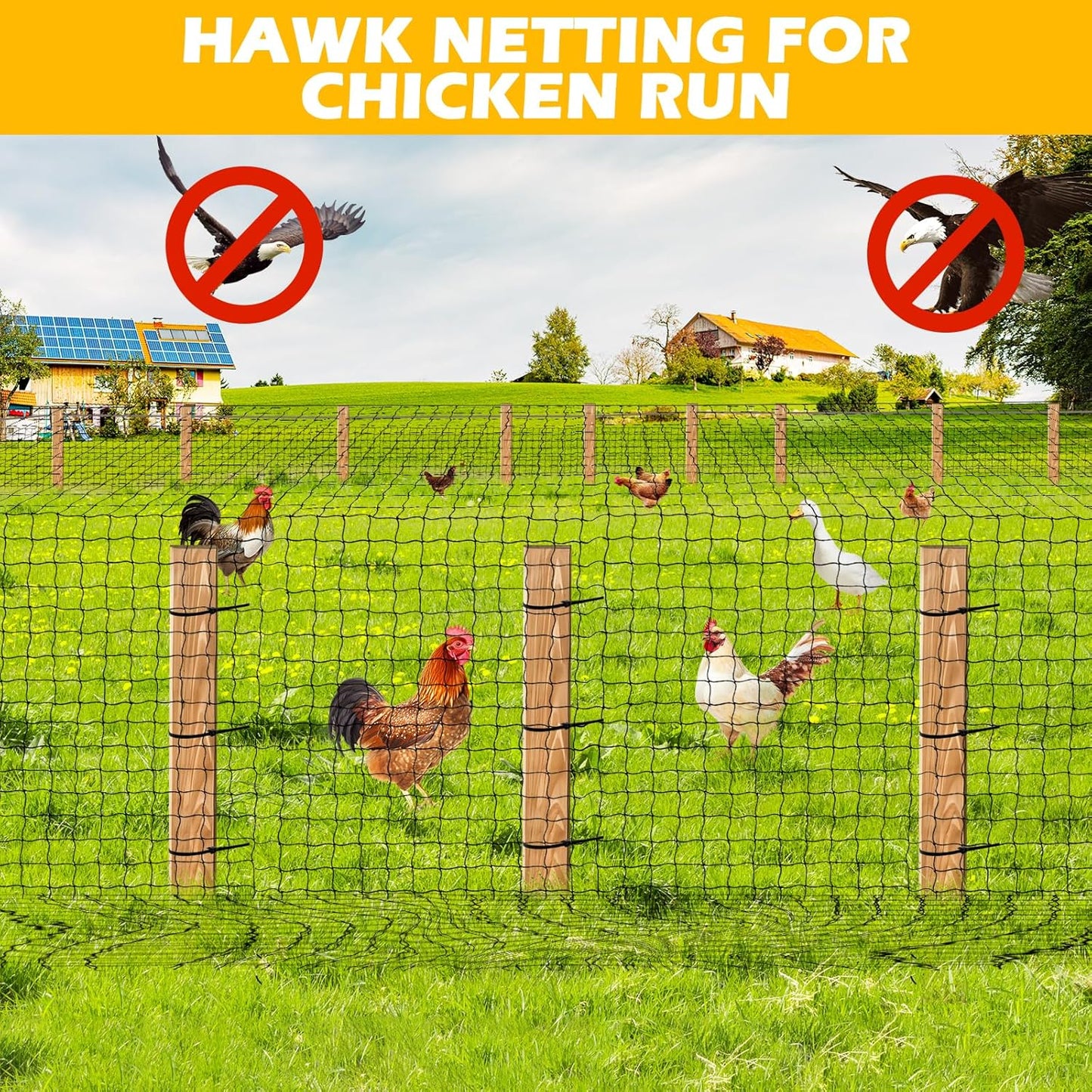 Bird Netting for Chicken Coop, 25'x50' with 2.4" Square Mesh Poultry Netting Heavy Duty Nylon Nettings for Garden, Aviary Net Fruit Tree Nettings