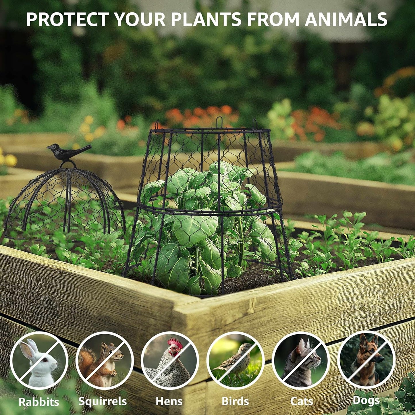Heavy-Duty Chicken Wire Plant Cloches – Rustproof Garden Protectors and Plant Cages for Vegetables and Flowers – Safeguard Plants from Deer and Critters – 20” x 12” (Pack of 6)