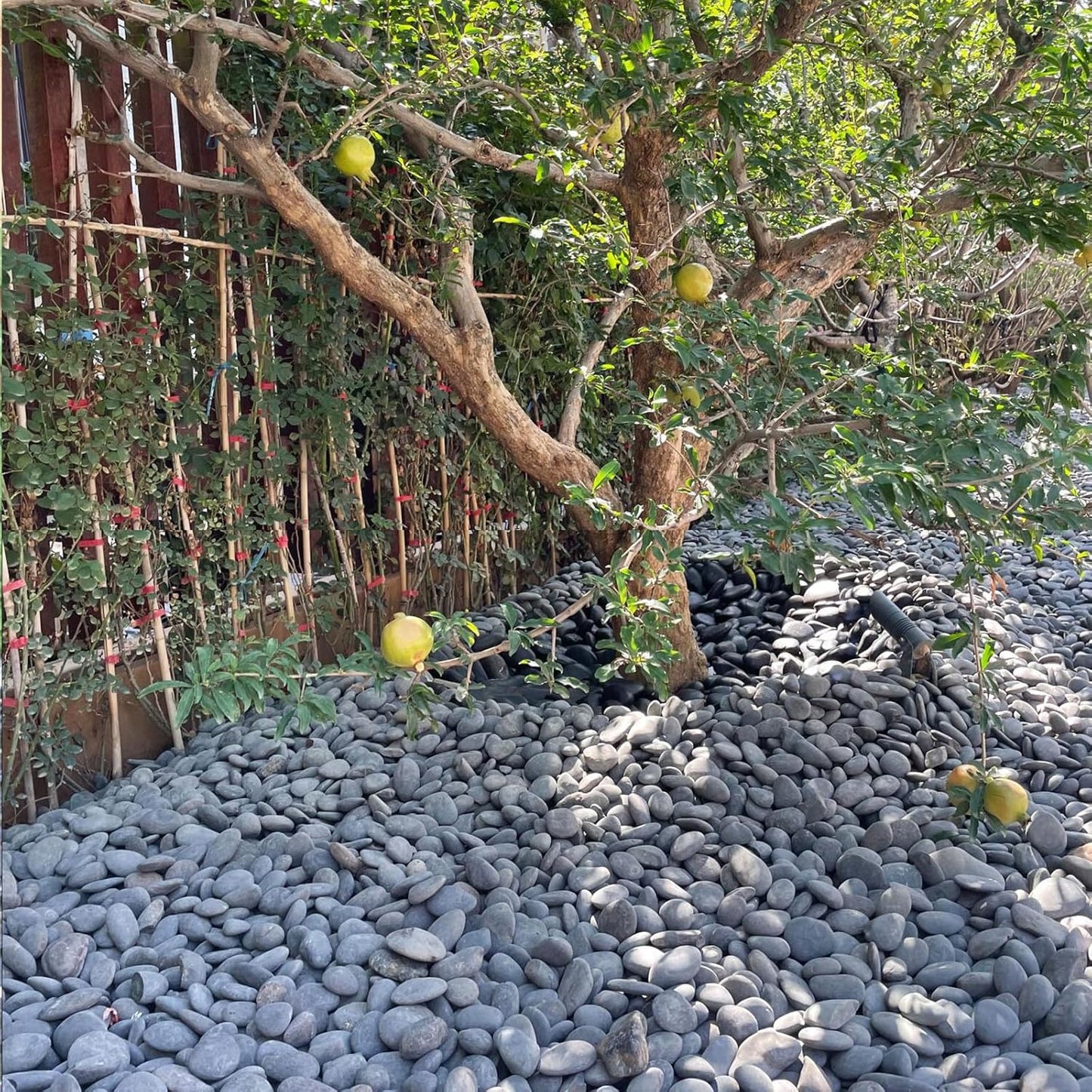 40 lbs Natural Black Rocks Mexican Beach Pebbles, 2-3 Inch Decorative Black River Rocks for Landscaping, Garden, Paving, Fountain, Walkways and Outdoor Decorative Stones