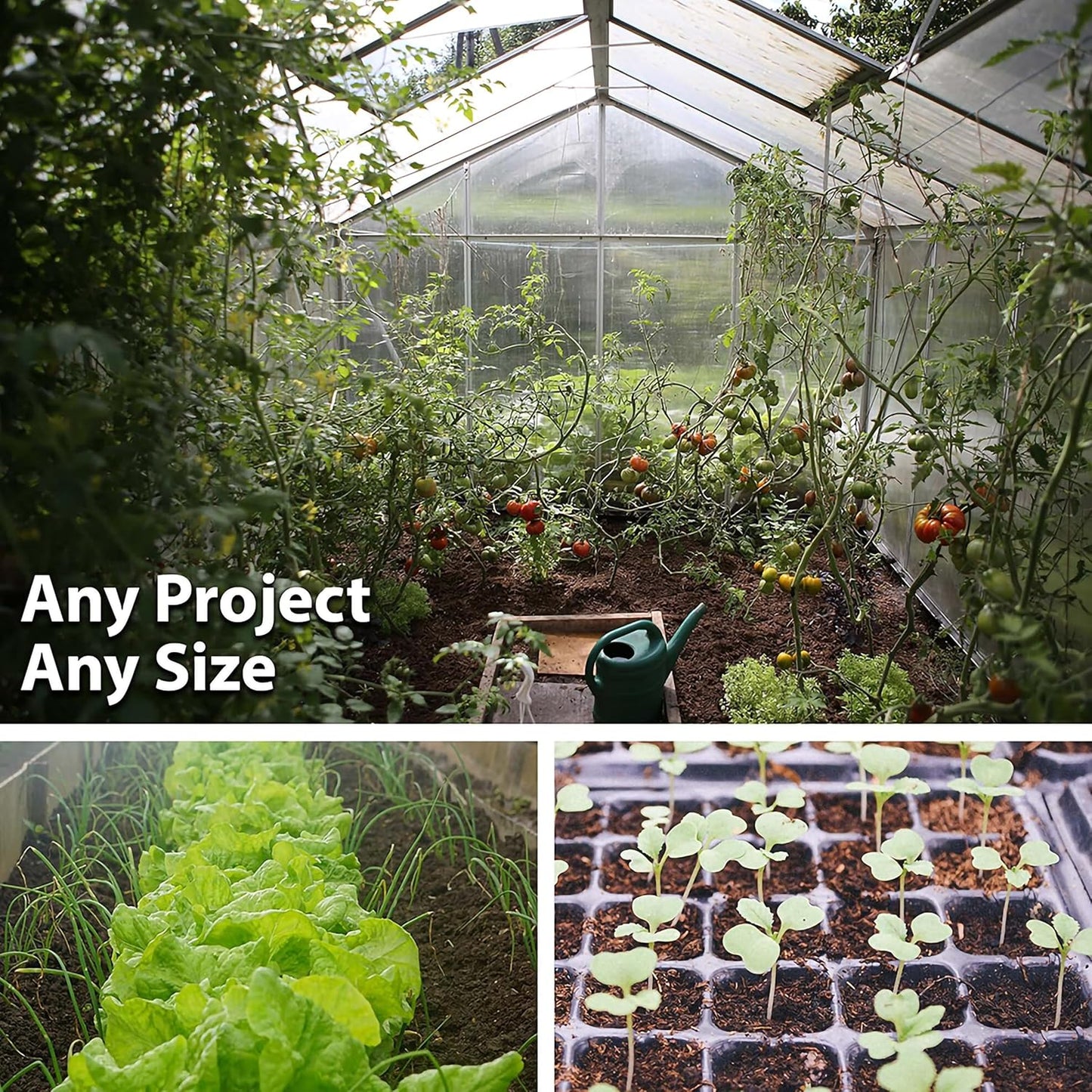 Handy Pantry Black Plastic Garden Tray Inserts - 100 Sheets of 36 Planting Pot Cells Each - 2x3 Nested x6 Configuration - Perforated- Nursery, Greenhouse, Gardening