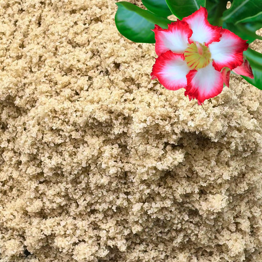 Fine Sand for Plants – Horticultural Sand for Succulents, Cactus, Potting Mixes, Terrariums & Decorative Indoor Gardens, Made in USA (5 quarts - 14 lbs)