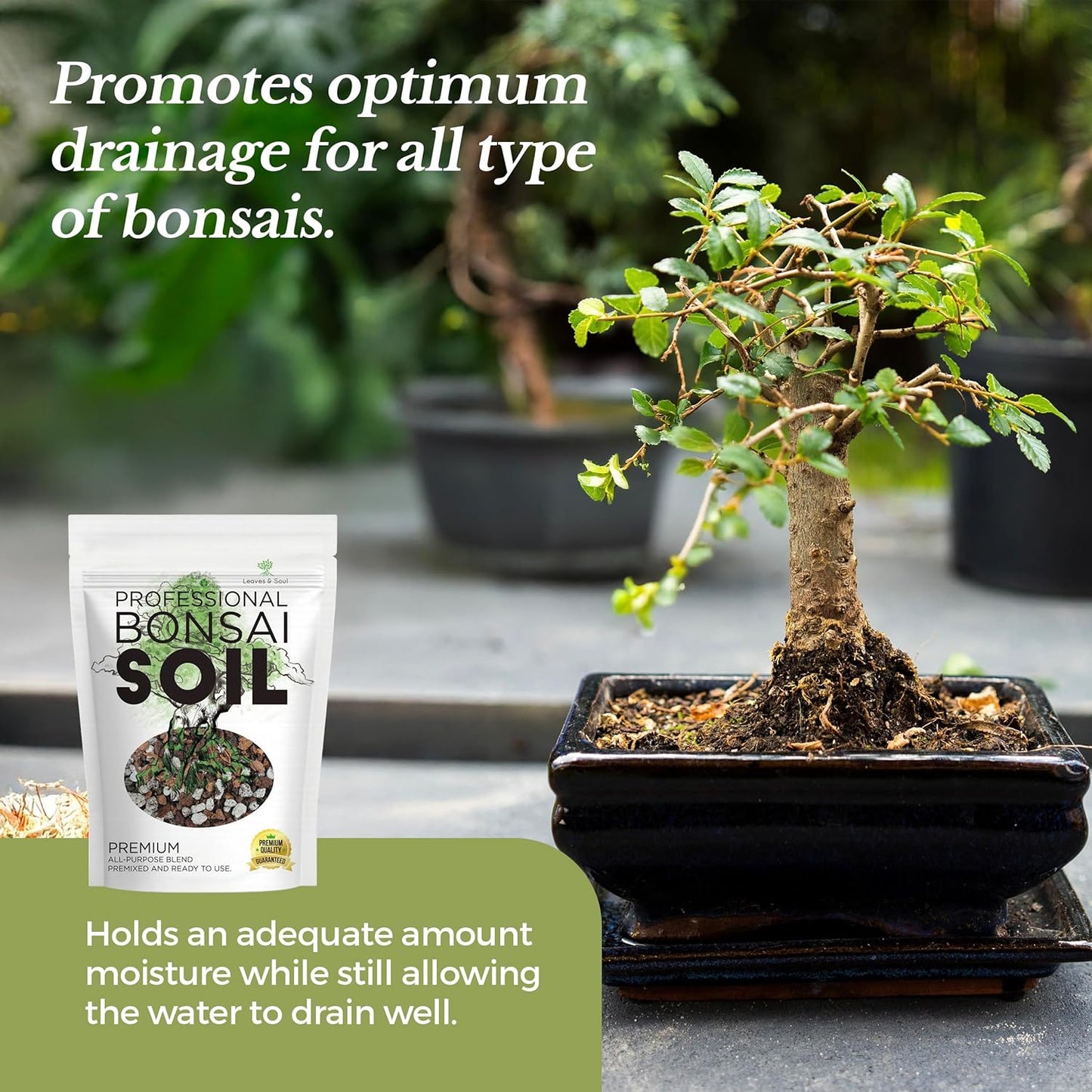 Large Bonsai Soil Premium All Purpose Blend | Pre-Mixed Ready to Use for Plant Support and Fast Drainage | Lava, Limestone Pearock, Calcined Clay and Pinebark | Extra Large 8.2 Quarts | Made in USA