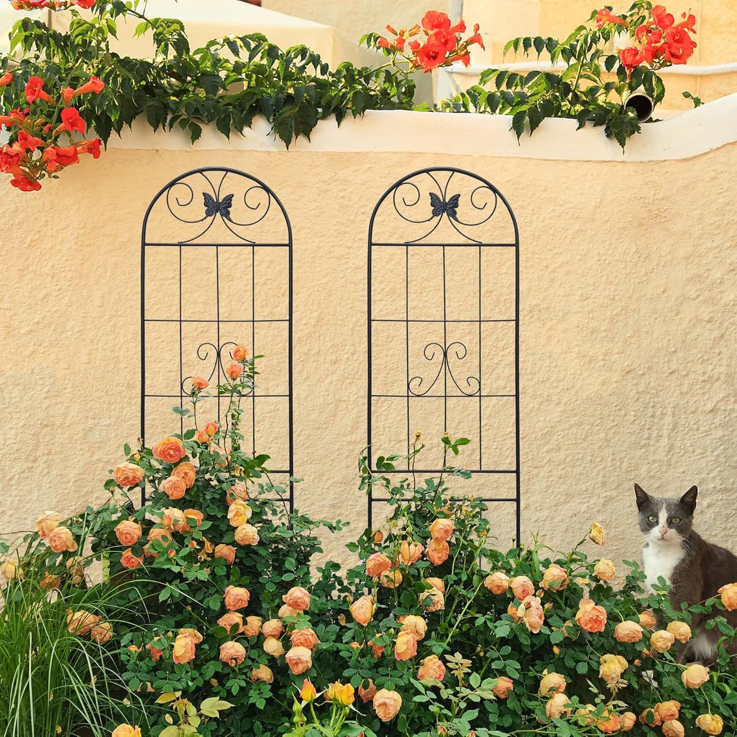 2 Pack Garden Trellises with Black Metal Coating, Trellis for Climbing Plants Outdoor, Roses, Vegetables, Vines, Cucumbers-19.7×86.7 inches.