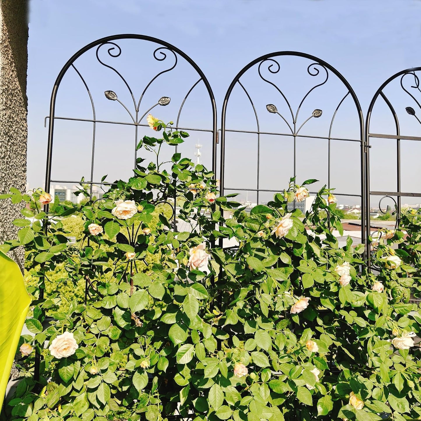 4 Pack Metal Garden Trellis 86.7" Tall Outdoor Climbing Plant Support for Roses, Flowers, Rustproof Durable Black Galvanized Tube, Lawn Garden Fence Decor Screen (4, Daisy-86.7" H)