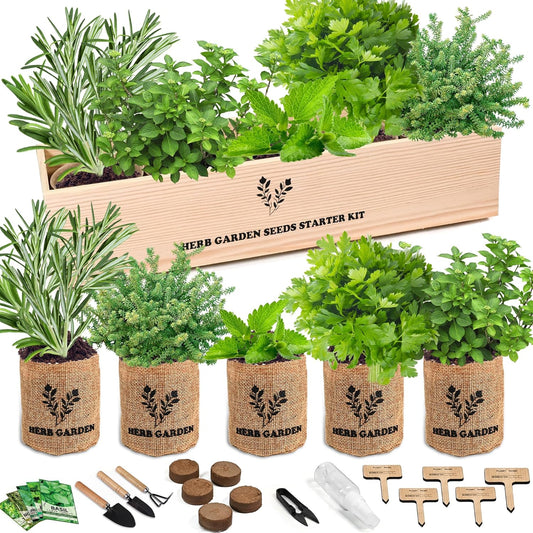 Indoor Herb Garden Starter Kit, 5 Seeds Growing into Basil, Parsley, Rosemary, Thyme, Mint, Including A Wooden Box, Soil Discs & Planters with A Gift Box, Ideal Christmas Gifts for Women
