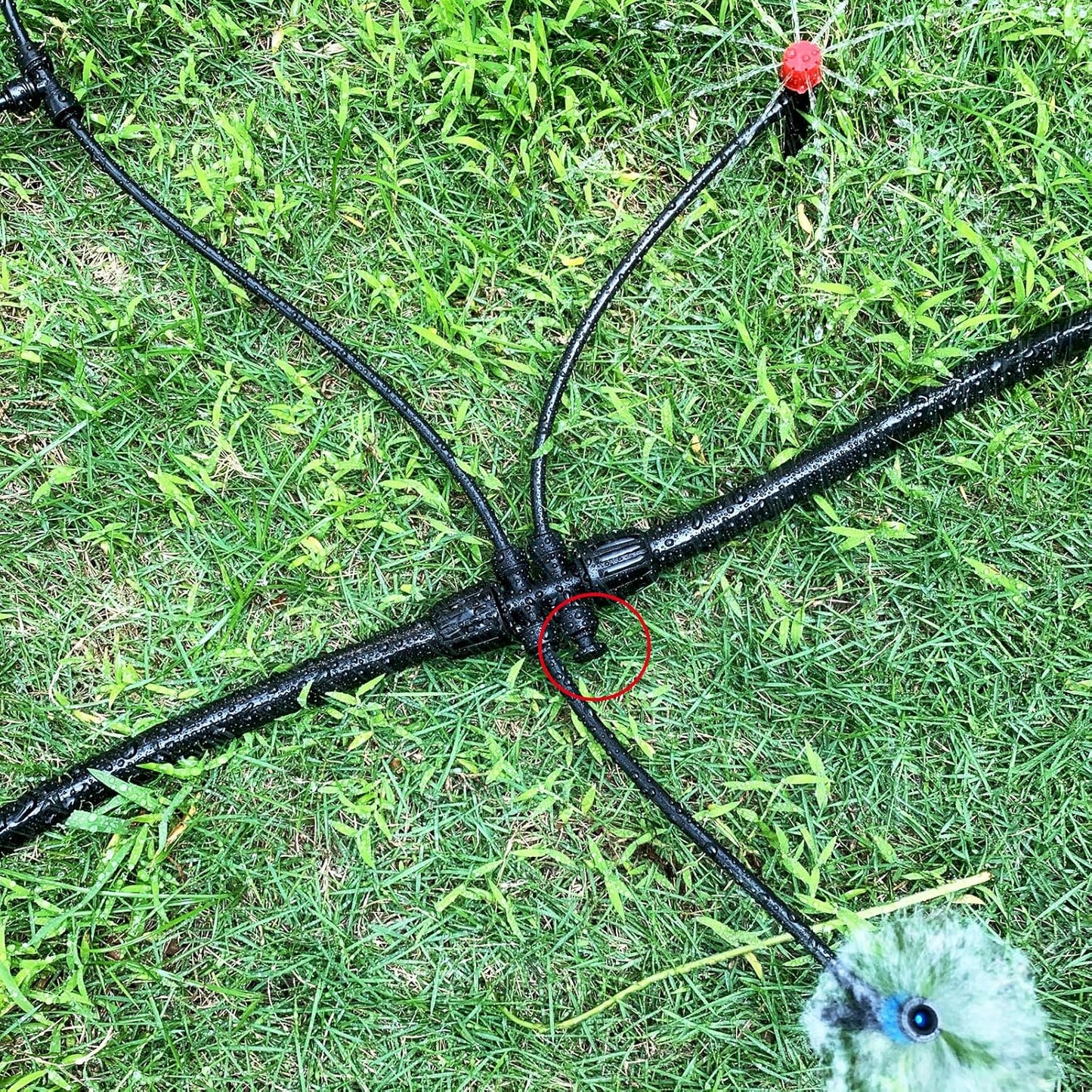 30 Pack 1/4" End Plugs for Quick Connect 1/4" Drip Irrigation Tee Connectors, Leak-Free End Closure Parts End Cap Fittings for Quick Connect Drip Irrigation System