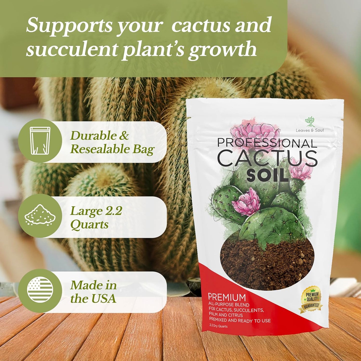 Professional Cactus Soil | Large 2.2 Quarts Ready to Use for Cactus Plants | Peat Moss, Coco Coir, Perlite, Dolomite | Made in USA