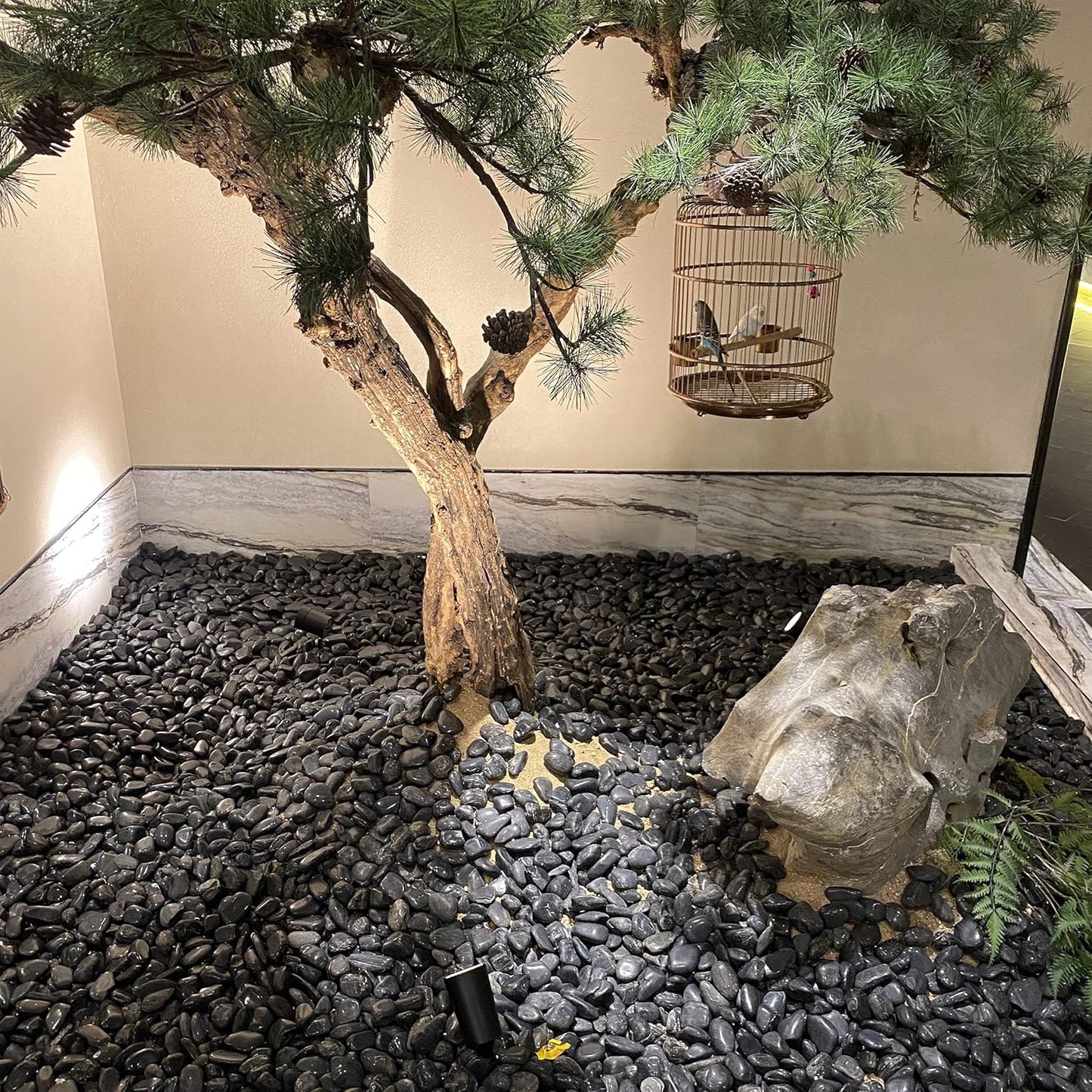 20 lbs Large Black River Rocks for Garden, 2-3 inch Polished Pebbles for Plants. Decorative Stones for Planters Landscaping Vase Aquarium and Fish Tank