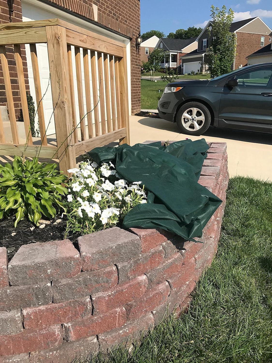 Frost Armor Blanket 10.5' Foot X 12' Foot (Frost Protection for Plants)